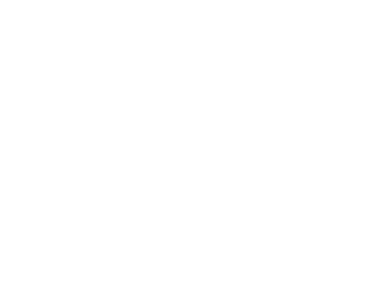 FASHION FOREVER